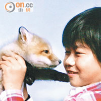 當年《子狐物語》主角狐狸仔，原來也是來自藏王狐狸村。