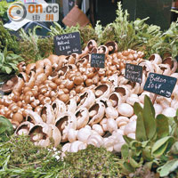 夏天的倫敦食材極多樣化，單是菇類也逾十種。