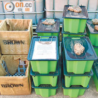 課程會以真實案例探討不同類型的城市固體廢物處理，圖為澳洲處理廚餘，轉廢為能作堆肥。