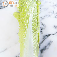 天津白菜<br>盛產於華北平原，特別是天津，故名為津白，又稱津菜。外形瘦長，頂部菜葉翠綠略為散開，筋細肉厚，清甜而微苦。