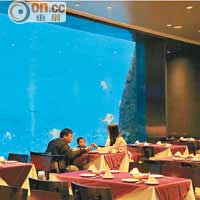 海底餐廳內設有巨型水族箱，可讓大家一邊享用大餐，一邊欣賞魚群優美的泳姿。