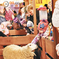 有綿羊和驢仔的小草棚是最受小朋友喜愛的攤位。