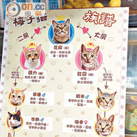 為方便大家認識，店主親自製作「梅子貓族譜」，並列出11隻貓咪的特徵與性格，做法細心。