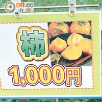 冬季當造的日本柿，一盒16個才約HK$65，同樣價錢，在香港只夠買兩個！