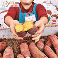 栗源的紅小町番薯有幾好味？即場買個燴番薯試試就知，每300克售￥200（約HK$13）。