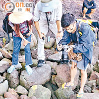 上到蛇島，大家頓成「低頭族」，不斷探頭在石縫間找尋水蛇。