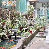 咖啡店後方設有幽雅的露天小庭園，內裏有養着錦鯉的大魚缸。