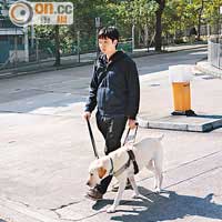 導盲犬為視障人士引路，減少生活上的不便，現年26歲的Walter是受惠者之一。