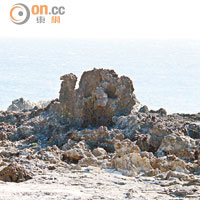 綠島海岸怪石奇多，這座駱駝石也蠻像的。