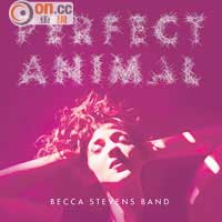 音色測試<br>試播Becca Stevens Band專輯《Perfect Animal》，雙晶片解碼趕絕背景音樂的雜訊，將取樣率提升至24-bit 384kHz後，人聲細節更清晰，動態表現豐富自然。