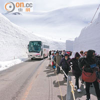 雪之大谷的雙線路可容人車共行。