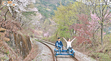 四輪車在直路上十分易踩，惟轉彎時需要點腳骨力，但不減浪漫氣氛。