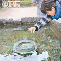 在僧寶殿旁的許願池前面祈福，是每位到訪者必做的事。