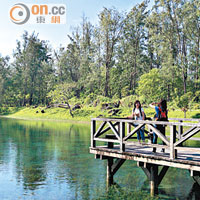 台東森林公園離市中心只有幾分鐘車程，於這裏踩單車，欣賞琵琶湖、鴛鴦湖亦是賞心樂事。