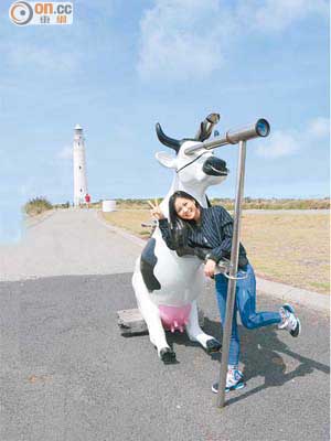 2010年當地曾舉行Cow Parade藝術展覽，其中一頭海盜牛留下來鎮守燈塔。