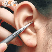 耳朵布滿神經，在耳穴貼壓中藥王不留行，可起到調節身體的功效。