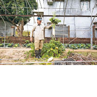 本地有機農場新鮮種植的蔬果，生長過程天然無添加，是健康飲食的關鍵。