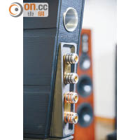 大型低音槽設於音箱背部，而高階喇叭插口能趕絕音訊傳送時的干擾。