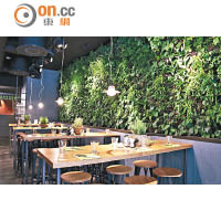 餐廳的一邊設有大幅植物牆，營造了天然綠意。