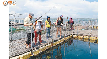 澎湖海面有不少提供即烤海鮮服務的魚排。