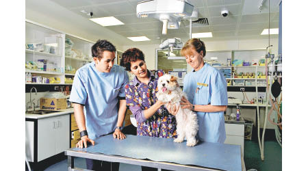 Murdoch University是知名研究型大學，脊醫及獸醫課程達頂尖水平，是澳洲第1所獲美國獸醫學會認證的大學。