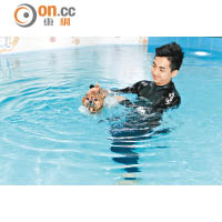 被水嗆到、遇溺都會令狗狗對游水產生陰影，因此工作人員抱着狗狗下水後，會不時用手托起其身體。