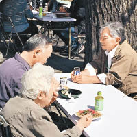 很多港人愛到日本賞花，但在健吾眼中，當地老人家只視之為喝酒活動，讓他們可在大白天盡情買醉。