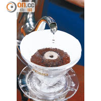 ii.將咖啡粉倒入濾杯內，並以不超過攝氏90度的水溫，以逐滴水點滴入咖啡粉內，讓咖啡粉以極慢速度吸水。