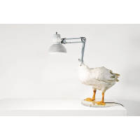 設計師從動物標本館收集鴨的標本，裝上電燈，打造出「The Duck Lamp」，設計相當盞鬼。