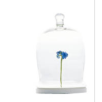 瓶中的花卉栩栩如生，是RSN 2年級學生Hattie McGill的立體刺繡作品。