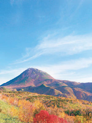 知床峠的山岳於紅葉季節時，會逐漸染成紅色及黃色，景致醉人。