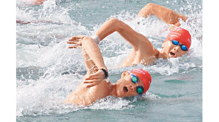 一年一度的「新世界維港泳」將於10月中舉辦。