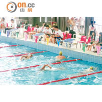 香港業餘游泳總會每年舉辦「游泳教師證書課程」，每年約培訓200多學員。