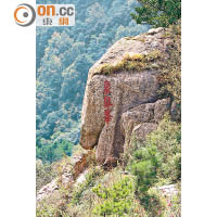 象鼻石真頗像象鼻，中國的山真不缺奇石。