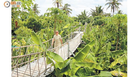 興建度假村期間，Six Senses Laamu只小量佔用原有的樹林用地，令島上留有大量綠色空間。