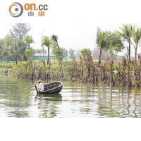 越南當地最有特色的傳統圓艇，充滿民間智慧。