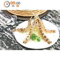 海花竹蝦 $38/両<br>巨型花竹蝦一隻足3両，鮮甜爽口，由於快過當造期，要食要趁早。