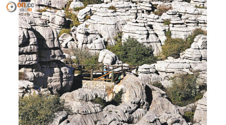 岩石的節理十分明顯，置身El Torcal自然保護區中，像被一堆巨型Oreo包圍。