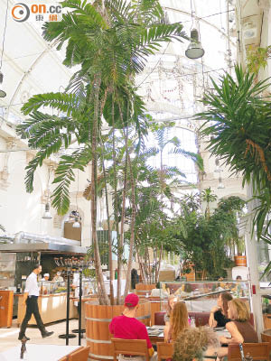 溫室餐廳內的棕櫚自然是主角之一。