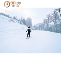 初學者滑雪道Homestead Road入口位處山頂2,954米高，雪道人煙稀少，滑雪都零舍開心。