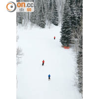 擁有44條滑雪道的奶油山，初、中、高級滑雪道色色俱備。