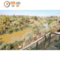 從高台下望的約旦河，真是比想像中小，不過綠樹成蔭。