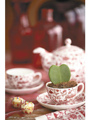 茶具印上地道風味的圖案，如點心籠、鳥籠、蛋撻及天星小輪，具有本土情懷。$1,850/套（a）