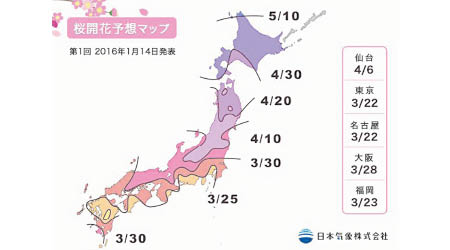 日本氣象機構預測2016年櫻花會比往年早開一點，不過天氣難測，開花日期或許仍有變數。
