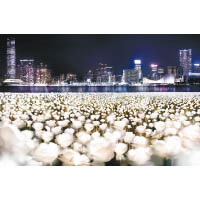 玫瑰燈海由25,000朵70和80厘米高的LED白玫瑰燈組成，共有7層花瓣，由今日起至本月22日照亮中環海濱及添馬公園，氣氛璀璨浪漫。