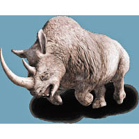 石器時代嘅犀牛惡形惡相，是極度難纏的猛獸。