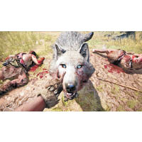 馴服野狼比較容易，三兩下手腳便能令牠跟你去打獵。