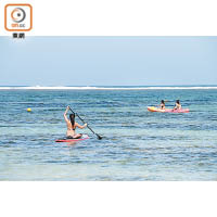 Resort提供Canoe、Kayak及Stand Paddling 3種水上活動。
