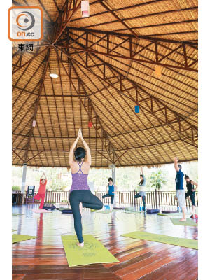 早上瑜伽課都是簡單的Flow Yoga，着重教授呼吸，適合初學者，每節500 Baht（約HK$111）。