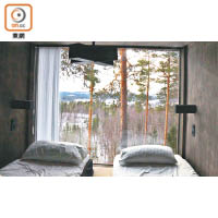 四方八面均設有巨型玻璃窗，連躺在床上都能欣賞森林美景。